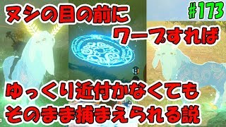 #173【ゼルダの伝説】ヌシの近くにワープマーカーを設置すればワープしてすぐ捕まえられる？検証【実況プレイ】ブレス オブ ザ ワイルド Nintendo Switch