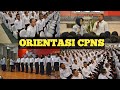 Apa Itu Orientasi CPNS