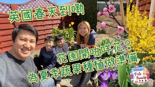 UK魚糧Family-春天到🍀🌸為夏天蔬果種植做準備🍋💪🏻 冬瓜苗、節瓜苗、指天椒苗出葉了