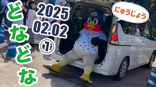 つば九郎🐧2025春季キャンプ ドナドナ①〜入場〜2025/02/02