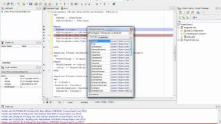 Debug Visualizer in RAD Studio 2010