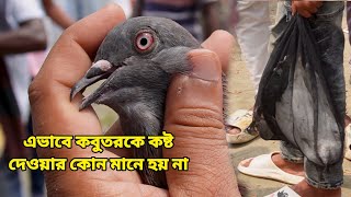 রাজশাহী নহাটা কবুতরের হাটে বহুদিন পর আসলাম