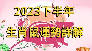 屬鼠人2023下半年運勢詳解：財運、愛情、健康、事業