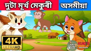 || দুটা মূৰ্খ মেকুৰী|| অসমীয়া সাধু||Two stupid cats|| Assamese Fairy Tales||by kuki's story House