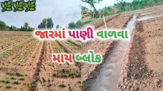 જારમાં પાણી વાળવા||Pour water into the jar||🌿🌿🌿