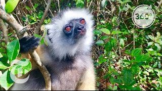 52 Places to Go: Madagascar | The Daily 360 | The New York Times