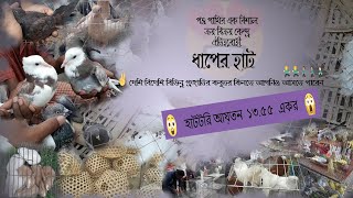 ঐতিহ্যবাহী ধাপের হাটে কবুতর বেচা কেনা(pigeon buy and sell in traditional market 'dhaperhat