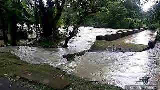 assam kaliabor flood 12 august, 2017 nagaon, jakhalabandha, nagsankar village