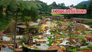 เส้นทางท่องเที่ยวสวนดอกไม้เบตง(สวนหมื่นบุปผา)โฉมใหม่ 2023 Betong Winter Flower Garden New#เบตงโอเค