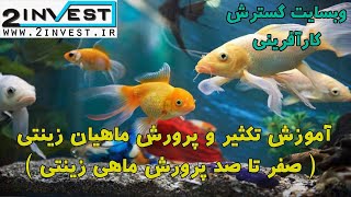 آموزش تکثیر و پرورش ماهیان زینتی ( صفر تا صد پرورش ماهی زینتی )