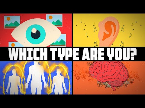 What are the 4 types of perception?