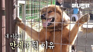 내가 뜬장에 만세를 했던 이유는..ㅣThe reason why I raised my arms on the cage is...