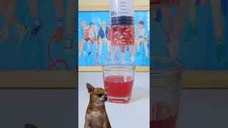 #shorts How to make orange juice with a syringe?Testing out life hacks with Jerry dog