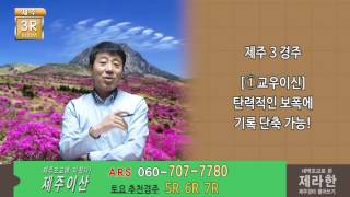 제주이산0415토