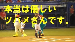 【畜ペンとか言ってるやつ見ろ！】つば九郎 バカリズムの始球式で少女を安全な場所に避難させる2019.09.04 プロ野球ヤクルトスワローズvs広島カープSK