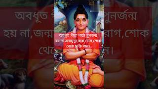 অবধূত গীতা কী||Abadhut Gita ki #গীতাপাঠ #youtubeshorts  #shorts