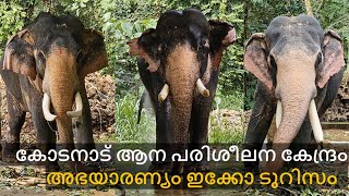 കോടനാട് ആനപരിശീലന കേന്ദ്രം | Abhayaranyam Kaprikkadu Ecotourism | Kodanad | ആന