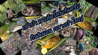 เข้าป่าหาเห็ดโคน(เห็ดปลวก) พาเที่ยวป่าใหญ่ของอำเภอบ้านไร่ ชมความอุดมสมบูรณ์และธรรมชาติของป่ากันครับ