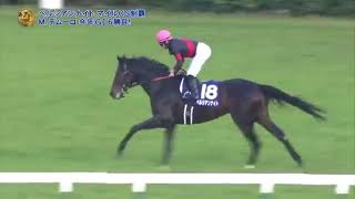 【マイルCS】デムーロ神ｗｗｗ【競馬のお話ch】