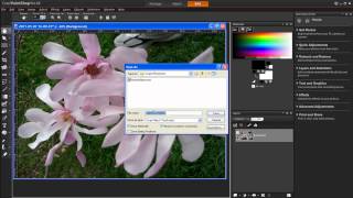 Batch Resizing Photos With Corel PaintShop Pro X4