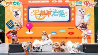 【毛神神大獎 2024】葵芳寵物市集嘉年華頒獎禮🐶🐱超墟冚勁多毛孩小編！免費派禮物😍