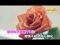 大美 失去我你心疼了嗎 ktv 伴奏 no vocal 無人聲 music 純音樂 karaoke 卡拉ok 伴唱 大美 失去了我你心疼吗