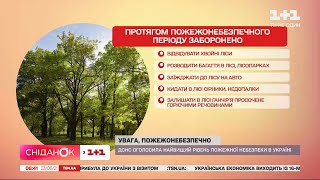 Найвищий рівень пожежної небезпеки в Україні: чого робити категорично не можна — пряме включення