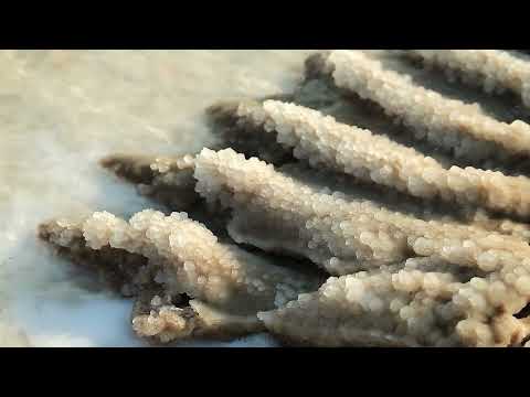 What are the five characteristics of sedimentary rock?
