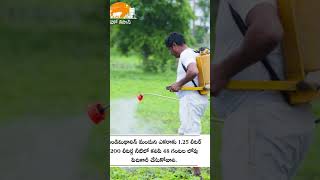 క్యారెట్ సాగు, విధానం|Carrot Farming | Carrot Cultivation