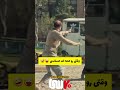 وقتی رو عمه ات خیلی حساسی 🤣😜❤ shorts طنز فان سعی_کن_نخندی خنده میلادخلیلی