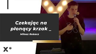 XY Czekając na płonący krzak | Miłosz Rokacz