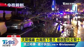 行駛間路樹突倒塌  　無辜女騎士遭壓亡