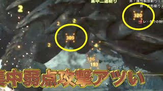 【モンスターハンターワイルズ】集中弱点攻撃の火力エグくないっ！？