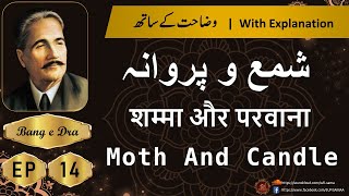 shama aur parwana allama iqbal  + Tashreeh  |  Allama iqbal poetry | Bang e Dra 14 | kulyat e iqbal
