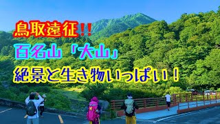 百名山「大山」‼️鳥取遠征登山【登山編】絶景とたくさんの生き物のいる命のお山‼️20220717#鳥取百名山#鳥取おすすめの山#鳥取絶景の山