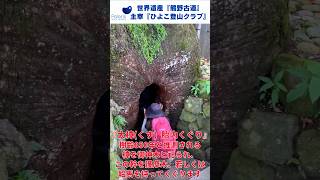 『熊野古道を熊野那智大社まで歩く』世界遺産～紀伊山地の霊場と参詣道～聖地へのトレッキングツアー #ヨガ #トレッキング#熊野古道 #40代50代#那智の滝