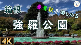 【 4K 箱根観光  japan 】箱根強羅公園の美しい情景に癒される  vlog