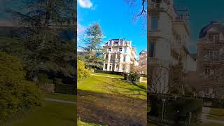 Baden-Baden,  crocuses