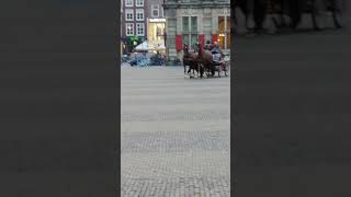 Angel rijd de koets over de markt