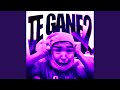 TE GANE, Vol. 2 (Ultra Slowed)