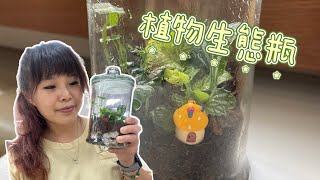 自己做植物生態瓶｜成品真的太美了