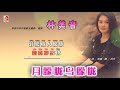 林美音 月朦胧鸟朦胧（official lyric video