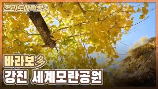 [전매청] 바라보多, 강진 세계모란공원 | KBS 201124 방송