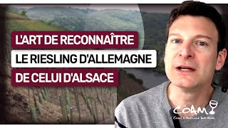 Comment différencier le RIESLING d'Alsace de celui d'Allemagne ? Les clés (leçon n°191)