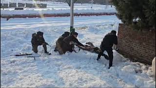 #Security forces conduct mock drill at Qazigund