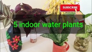 indoor water plants.. വെള്ളത്തിൽ വളർത്താവുന്ന ചെടികൾ