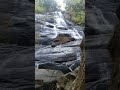 kiliyur water falls yercaud shorts youtube tranding