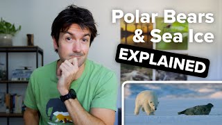 Polar Bears & Sea Ice Explained