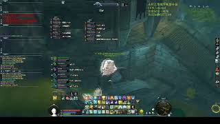 AION LEGENED HEAL SIGHT 永恒之塔俄罗斯服 辣鸡奶妈第一视角