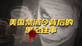 美国禁酒令背后的黑金往事｜危机博士 Dr. Crisis